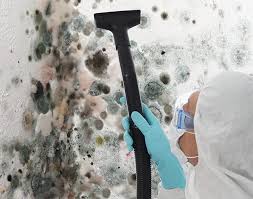 Why You Should Choose Our Mold Remediation Services in Reeds Spring, MO